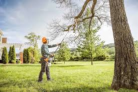 Best Storm Damage Tree Cleanup  in River Road, WA